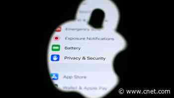 You Need to Download iOS 17.4 Right Now     - CNET