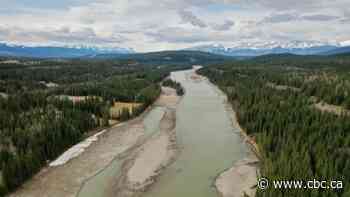 In this drought year, Alberta's water allocation is under the microscope. Here's what the data says