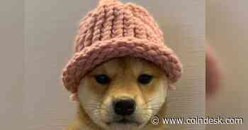 Solana Meme Coin Dogwifhat Surges 48%, Outperforming BONK, DOGE