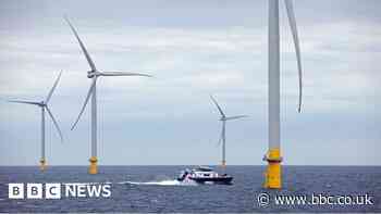 Hull energy boss calls for faster rollout of wind farms