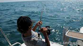 Unieke collegereeks voor B2B-marketeers