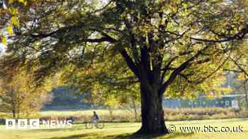 Country Park to get £75,000 toilet
