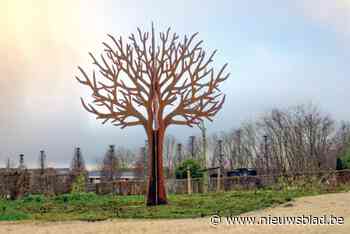 Na sterrenboom en urnenpaddenstoel steekt Hemiksem met sterrenregister ouders van ongeboren kinderen extra hart onder de riem