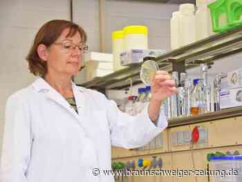 Wolfsburg: Im Phaeno dreht sich alles um Bakterienfresser