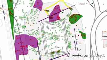 Pietralata, per far spazio allo stadio della Roma a rischio decine di alberi tutelati