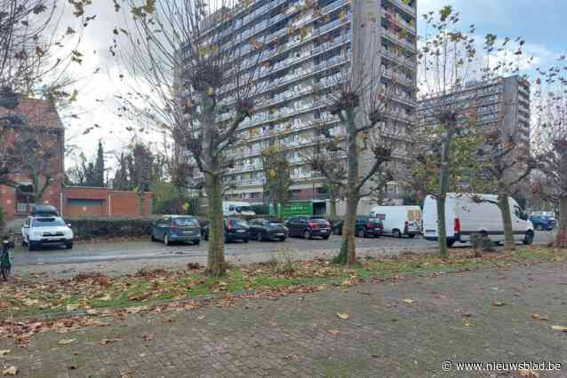 Afgeleefde sociale woontorens gaan tegen de vlakte en worden vervangen door gebouwen half zo hoog: “Er komt ook meer groen”