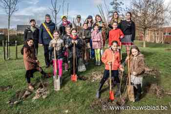Chiromeisjes planten laatste deel De Groene Slinger