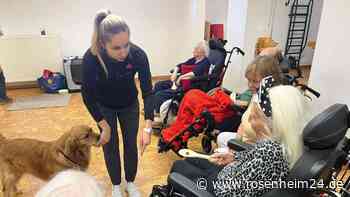 Therapiehund im Seniorenheim: Wie Kiki alte Menschen zum Strahlen bringt