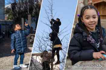 Kleuters voelen zich koning te rijk op vernieuwde speelplaats van basisschool De Vlinders: “Niemand verveelt zich nog tijdens pauzes”