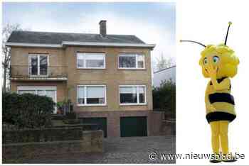 ‘Maya de bij’ krijgt vijf jaar cel met uitstel voor cannabiskweek: “Ze was niet de bijenkoningin”