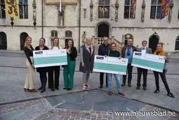 60.000 euro uitgetrokken voor burgers met ideeën