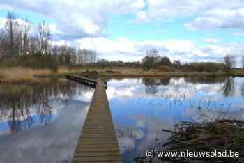 Na lange overstroming: vlonderpad in Viersels Gebroekt is weer toegankelijk