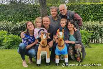 Bestuurder die onder invloed van alcohol en drugs René (69) doodreed, moet 3 maanden naar cel en 117.000 euro schadevergoeding betalen