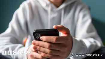 School to offer 'brick phones' to pupils