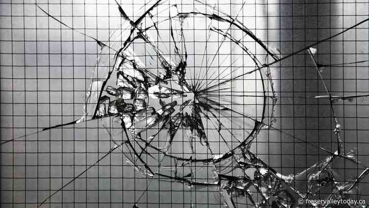 YOUR PERSPECTIVE: NDP continues to ignore public safety mess of their own making