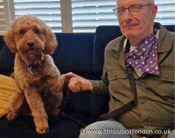 Romford man will take on MS-UK Purple Dog Walk challenge
