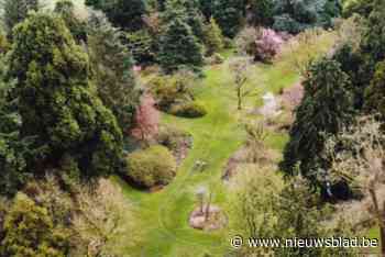 Prachtige dronebeelden doen dromen van de échte lente: kleuren in Arboretum zijn drie tot vier weken vroeger dan normaal