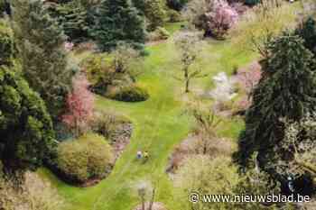 Prachtige dronebeelden doen dromen van de échte lente: kleuren in Arboretum zijn drie tot vier weken vroeger dan normaal