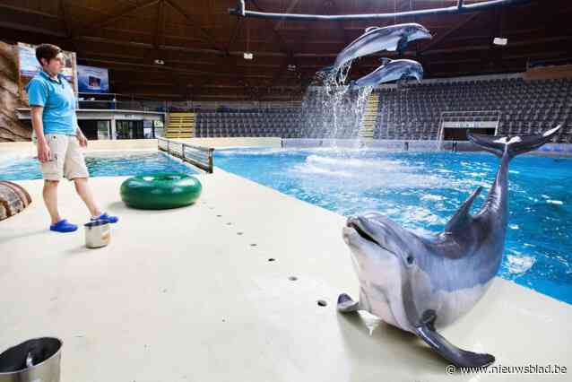Wereldberoemde wetenschapster pleit voor sluiting dolfinarium, Boudewijn Seapark reageert: “Dolfijnen voelen zich 85 procent van de tijd goed”