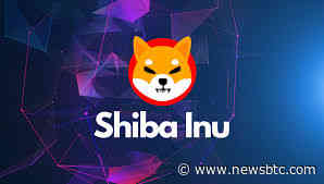 Shiba Inu Whale Shifts 1.25 Trillion SHIB Amid Market Volatility, Here’s The Destination
