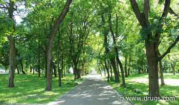 Residential Greenness Tied to Increased Bone Density, Lower Osteoporosis Risk