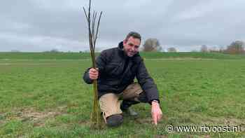 Weer ligt het eerste kievitsei in Grafhorst, maar Herman vindt het nest te laat