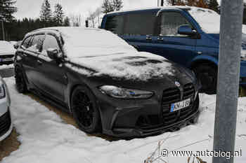 Gespot – Dikke wintersportbeuker in de sneeuw