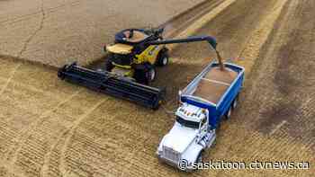 Sask. sees 71 per cent increase in food exports to India