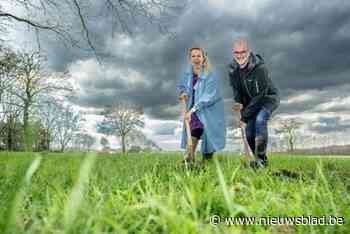 Tessenderlo wil nu bomen planten om er later te kunnen kappen, maar dat mag (nog) niet
