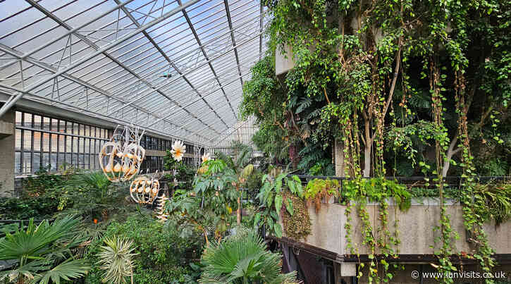 Friday and Saturday lates at the Barbican Conservatory