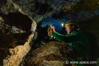 NASA taps Nikon cameras to help Artemis astronauts photograph the moon