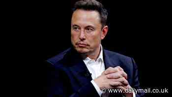 Elon Musk says he's considering scrapping 'likes' and reposts on X posts - in latest radical overhaul since buying Twitter
