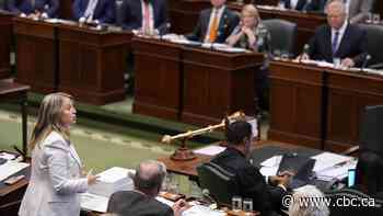 Sparring over shuttered Terrace Bay pulp mill leads to heated exchange at Queen's Park