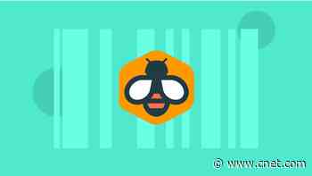 Score a Lifetime Subscription to Beelinguapp for Just $32     - CNET