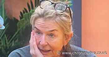 Fern Britton makes Celebrity Big Brother 'quit' threat over Phillip Schofield