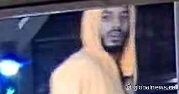 Suspect caught on camera breaking menorah light fixture in the Beaches: police