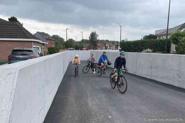 Fietstunnel onder Moorselbaan wordt ‘Kamiel Sergant tunnel’ én krijgt kunstwerk over zijn leven