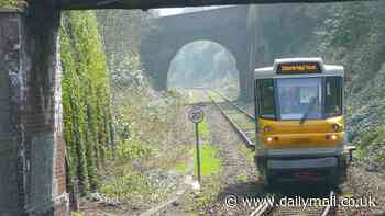 Pictured: The railway in Britain that's Europe's shortest line - it's less than one mile in length and passengers trundle along it in quirky 'people movers' at a peak speed of 20mph