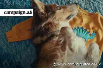 Canada new-biz spotlight: WPP’s Church & Dwight win is biggest media move