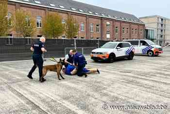 4 politiezones organiseren samen jobdag