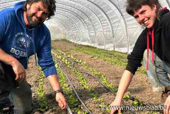Zelfoogstboerderij bestaat 10 jaar: “Meer dan 200 leden werken inmiddels mee aan ons succesvol verhaal van duurzame landbouw”