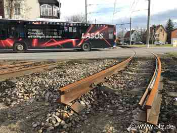 Bergahorne fallen in Jena wegen Gleisbauarbeiten