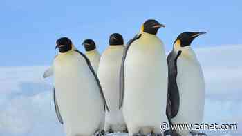 The first 5 Linux commands every new user should learn