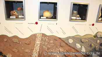 Altensteiger Frühgeschichte: Raum Dürnitz beherbergt Geologie zum Anfassen