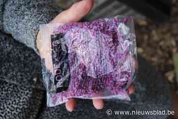 Politie waarschuwt voor rattenvergif in Maaseik en Dilsen-Stokkem