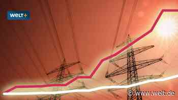 Der vernichtende Sonderbericht zur Energiewende