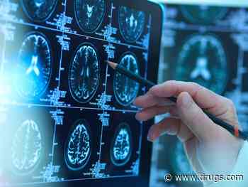 Analysis Showed Maine Mass Shooter Had Blast-Related Brain Damage