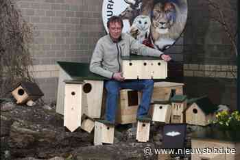 Hét moment om nestkastjes te kopen: waarom sommige soorten hulp goed kunnen gebruiken