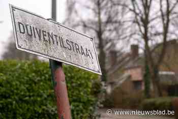 Ruzie ontaardt en man gaat buur te lijf met ijzeren staaf: 1 jaar voorwaardelijke celstraf