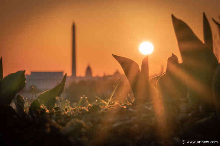 Morning Poll: How will Daylight Saving Time affect your routines?